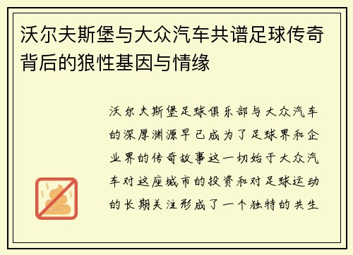 沃尔夫斯堡与大众汽车共谱足球传奇背后的狼性基因与情缘